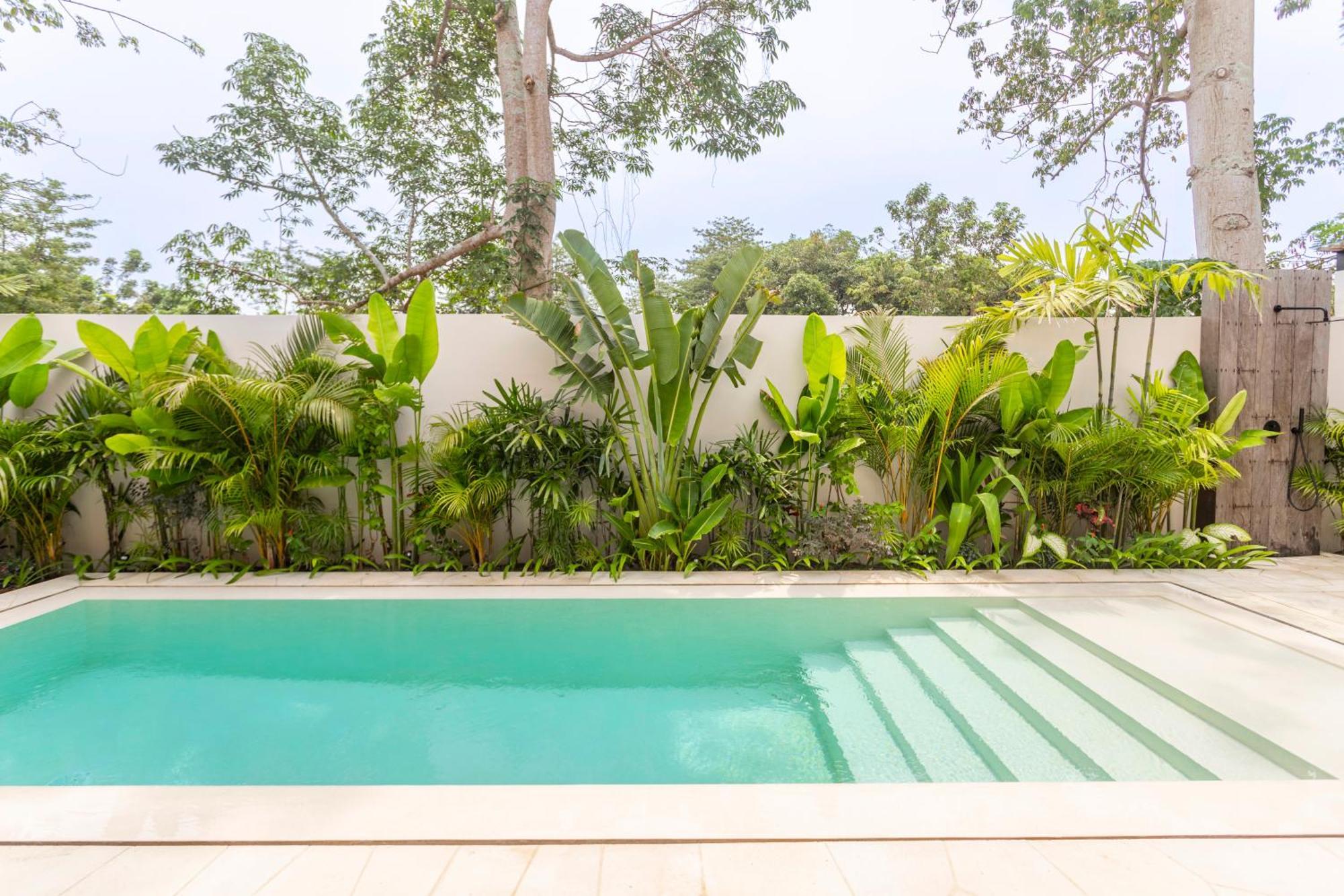 The Dreamland By The Young Villa *